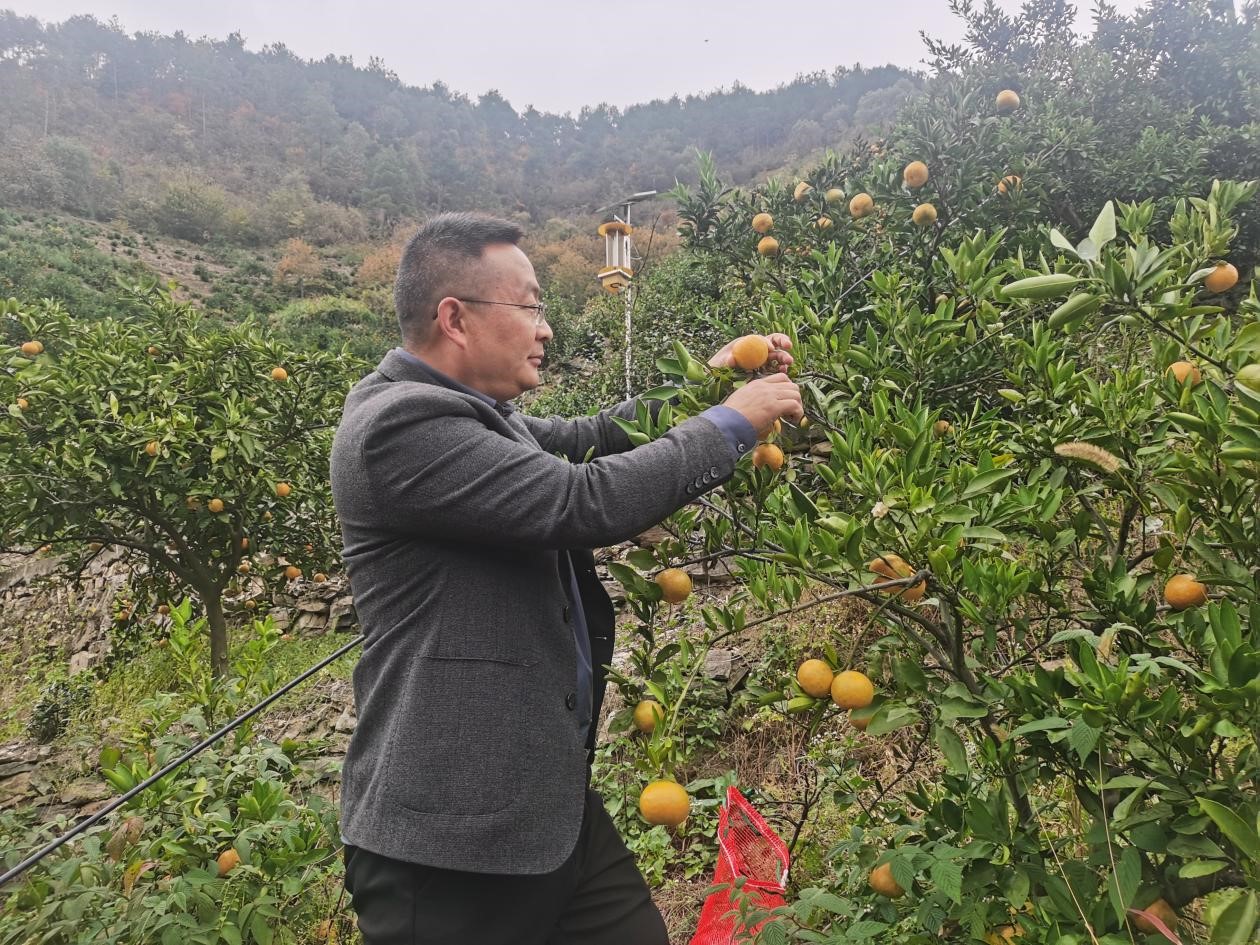 ũů ժա԰ֹ˾롰һڽֿ٣ѷմؼҡũ